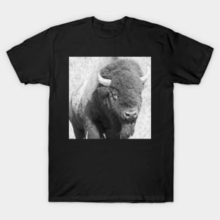 Buffalo 01 T-Shirt